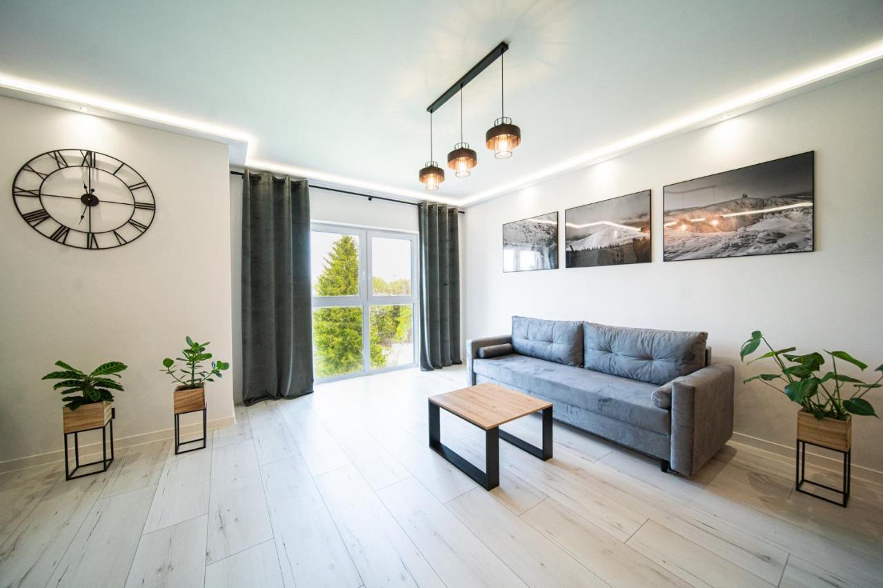 イェレニャ・グーラApartament Duzy Stawアパートメント エクステリア 写真